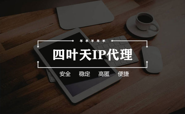 【定州代理IP】如何快速搭建代理IP？怎么检查代理的效果？