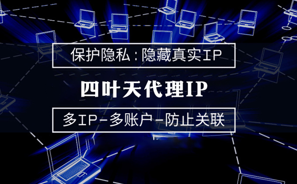 【定州代理IP】代理服务器的类型有哪些？四叶天代理IP怎么样