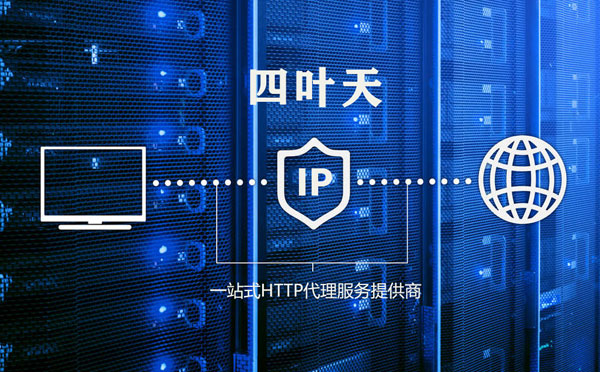 【定州代理IP】高质量IP代理的最重要因素?